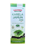 Baidyanath Juice Karela Jamun 1L