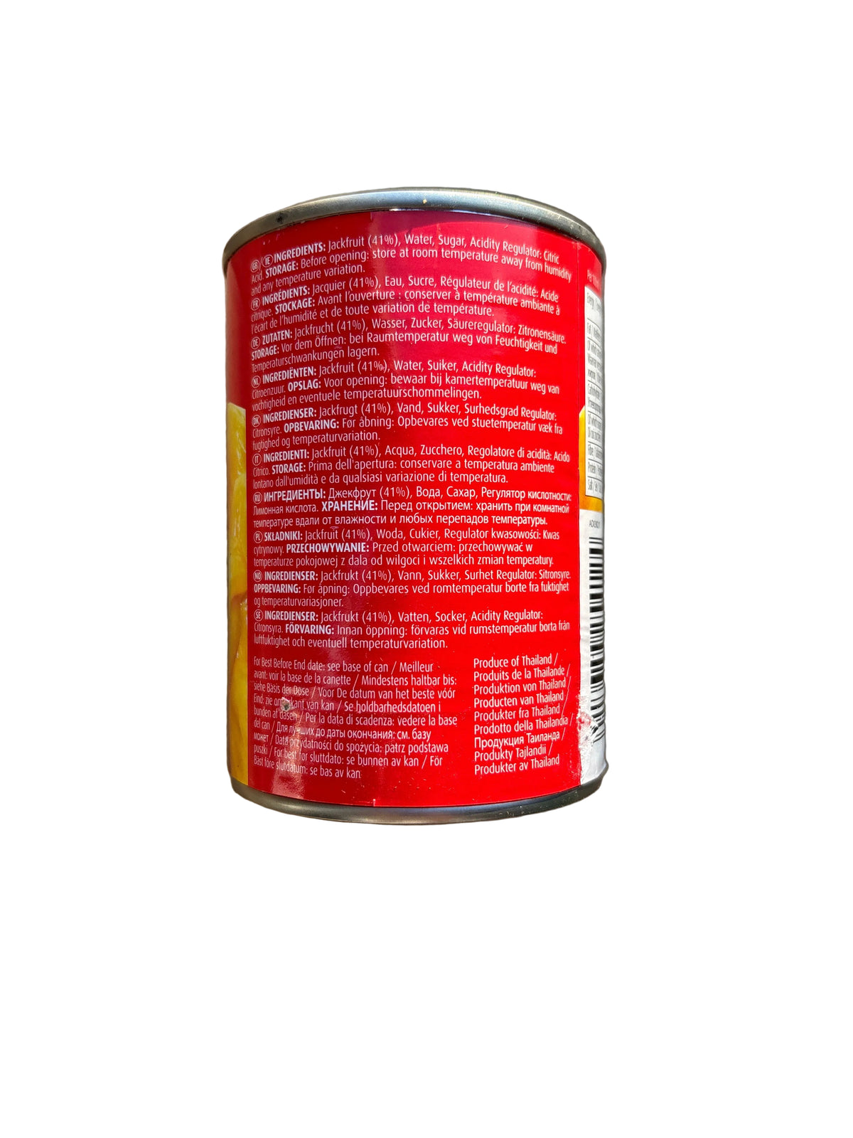 TRS Jackfruit In Syrup 565g
