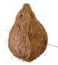 Coconut Fresh