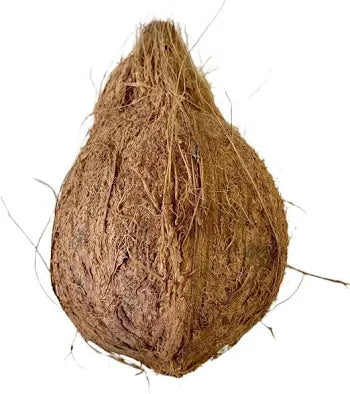Coconut Fresh