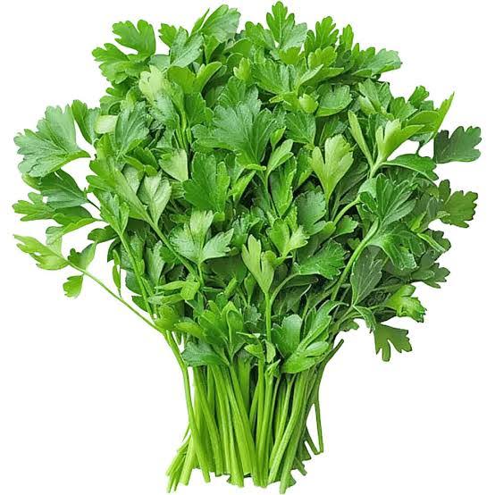 Coriander Bunch