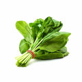 Spinach Bunch