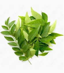 Curry Leaves